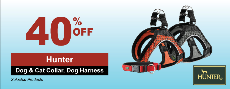 Hunter Dog & Cat Collar, Dog Harness